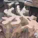 Live Edge Root Slabs