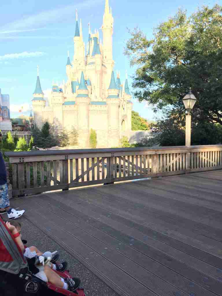 Ipe Boardwalk in Disney World