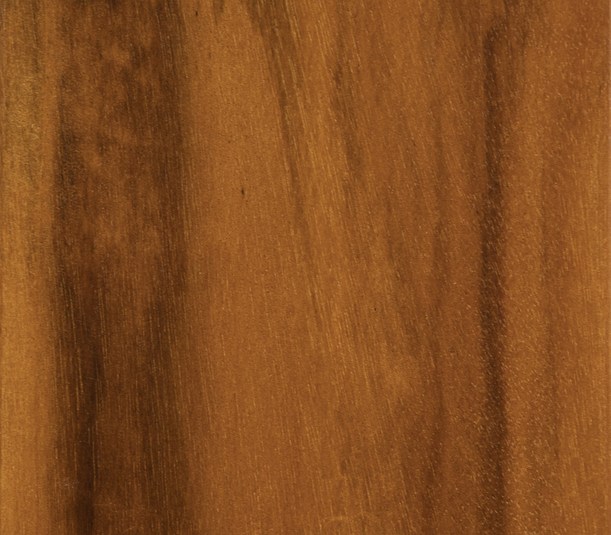 TIGERWOOD scaled Tigerwood