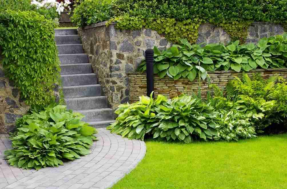 Lawns made of Artificial Turf