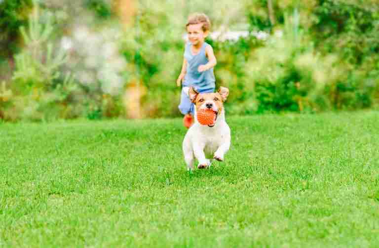 Pet kid friendly artificail turf