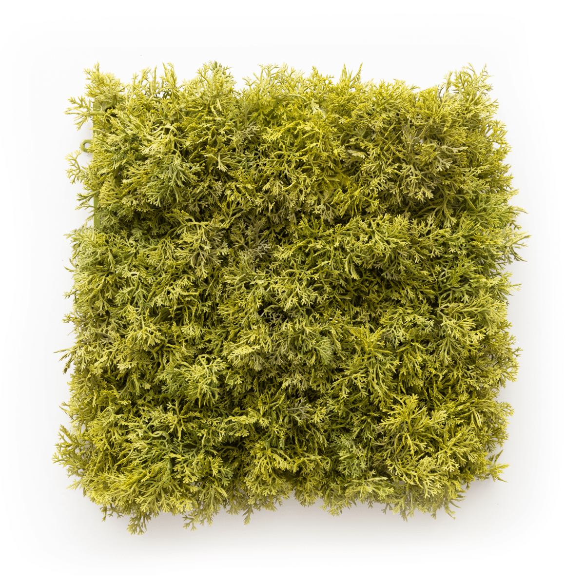 #1 Best Berkshire Moss Artificial Ivy » Brazilian Lumber