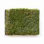 Phillip Lawn Artificial Turf