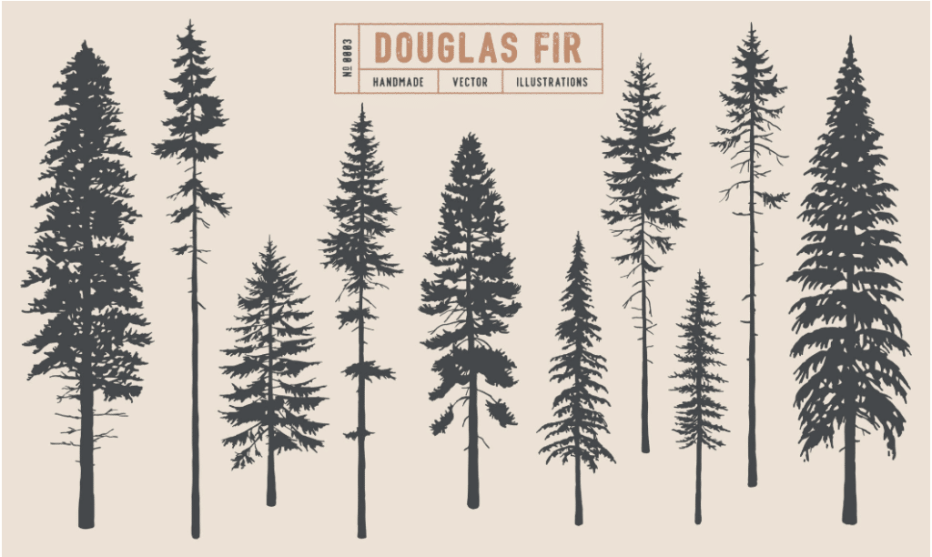 Douglas Fir Wood