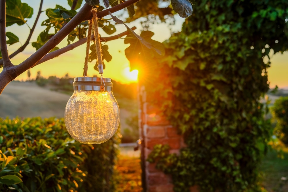 Hang solar-powered bulbs from trees