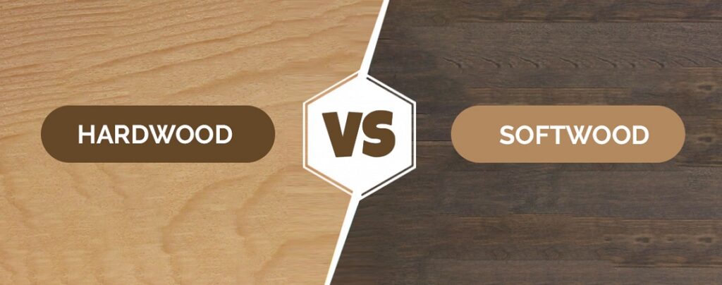 Hardwood VS Softwood 7 Differences
