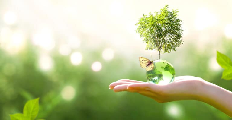 Protecting the Earth 1