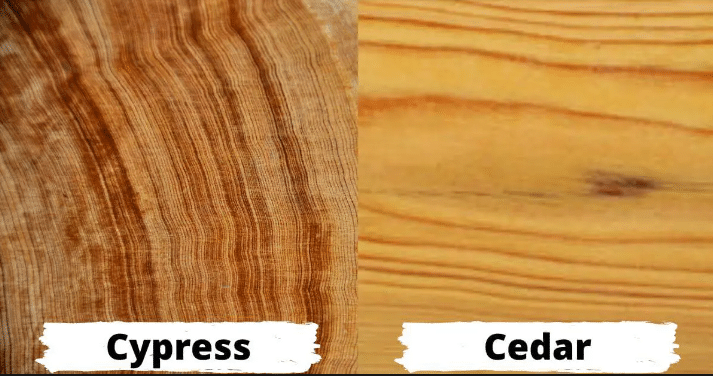 Comparing Cypress VS Cedar