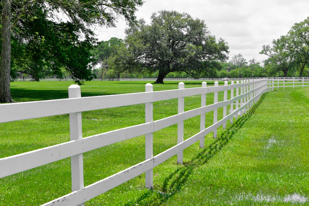 Post and Rail Fence for Larges Spaces
