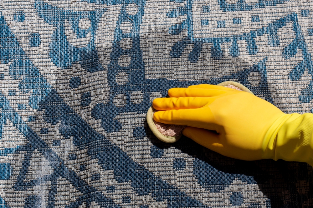 Person Cleaning An Outdoor Rug