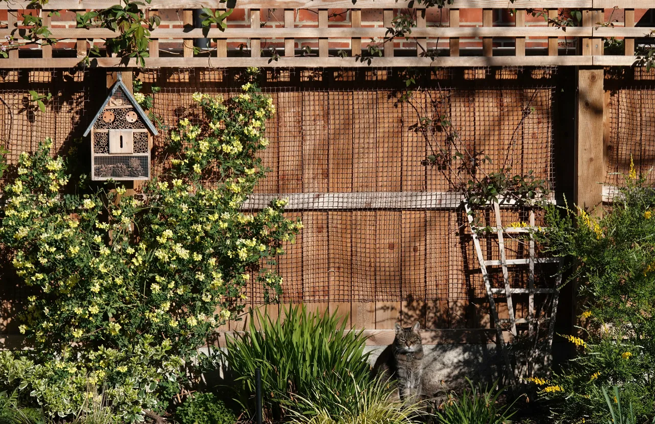 Trellis Panels