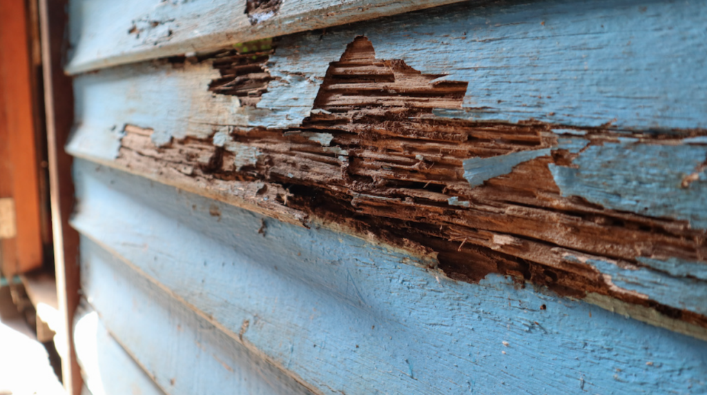 How to Prevent Wood Rot: Effective Tips for Protecting Your Wood Decks and Exterior Structures