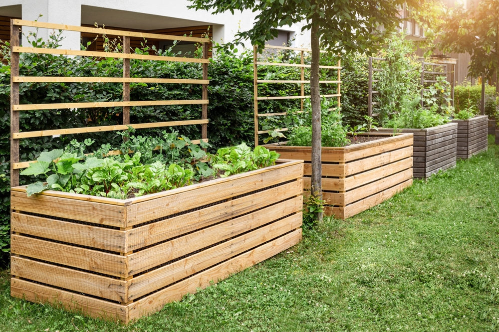 Choosing The Best Wood For Raised Garden Beds