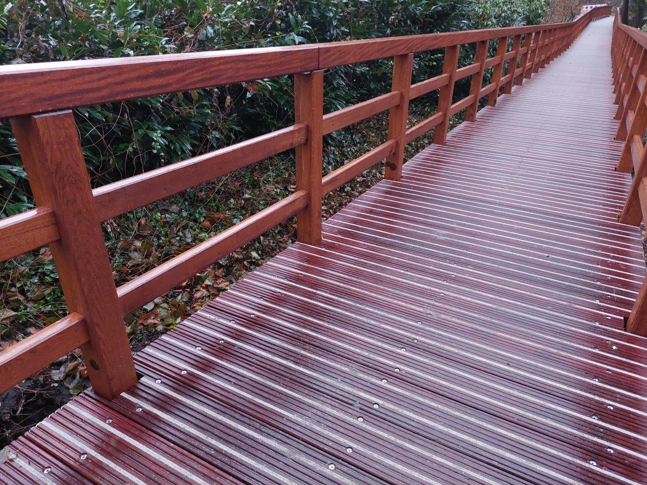 Purpleheart fencing