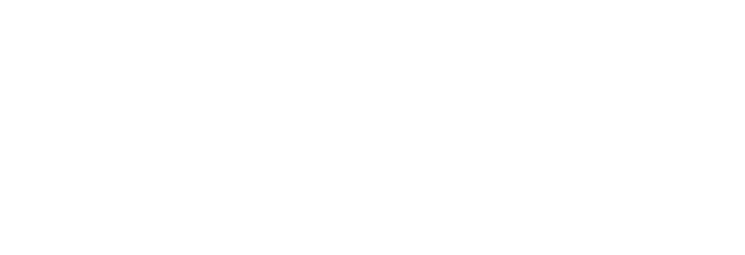 Brazilian Lumber Logo